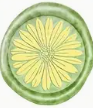 Siegelstempel feine Blume